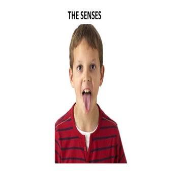 The senses