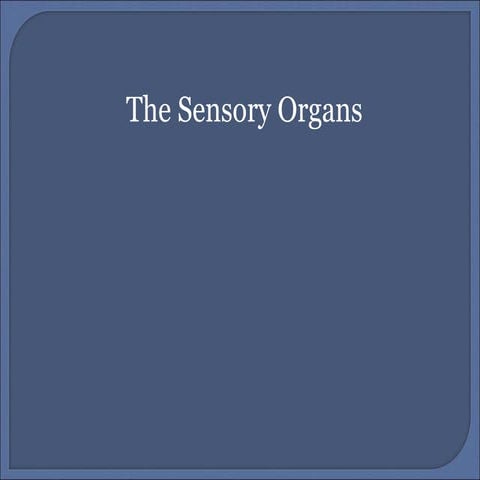 The Sensory Organs, Anatomy and Function