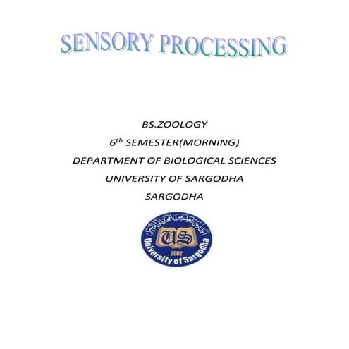 The sensory processing