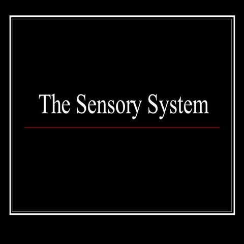 NurseReview.Org - The Sensory System