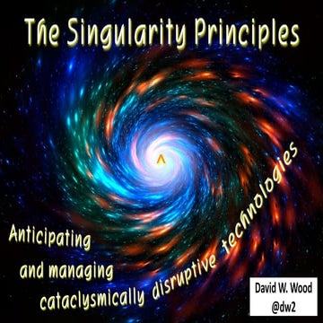 The Singularity Principles for WTEF