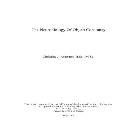 Ph.D. thesis: The Neurobiology of Object Constancy