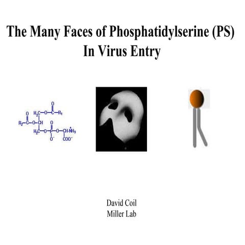 Roles of phophatidylserine (PS) in enveloped virus infection.  David Coil, Ph...
