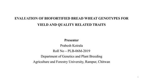 Thesis_Defense_Evaluation_of_Biofortified_Bread_Wheat_Genotypes_Prabesh_Koira...