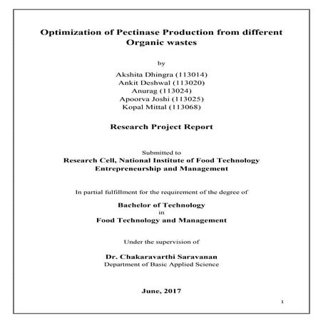 Thesis final | PDF