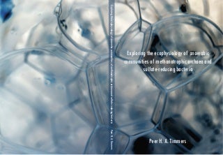 Brice morin phd thesis