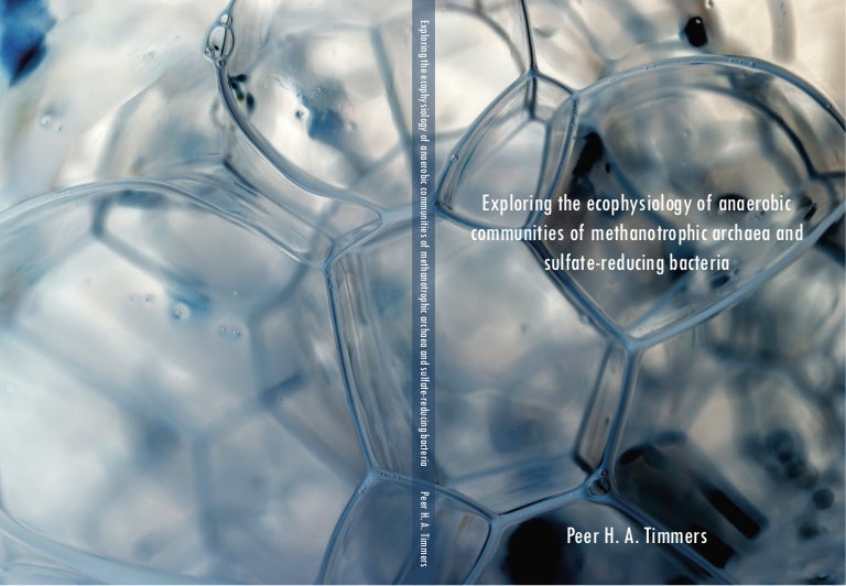 Wageningen university phd thesis