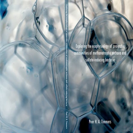 PhD Thesis, Peer Timmers, Laboratory of Microbiology, Wageningen University