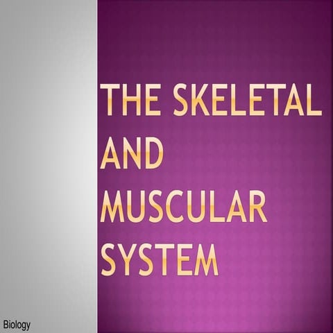 The skeletal and muscular system