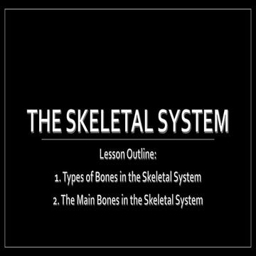 The skeletal system