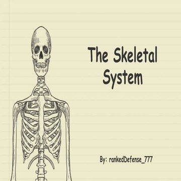 The skeletal system
