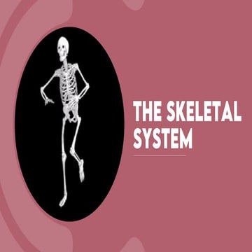The skeletal system.pdf