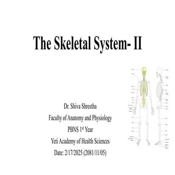 The Skeletal System and the Joints- II.pdf