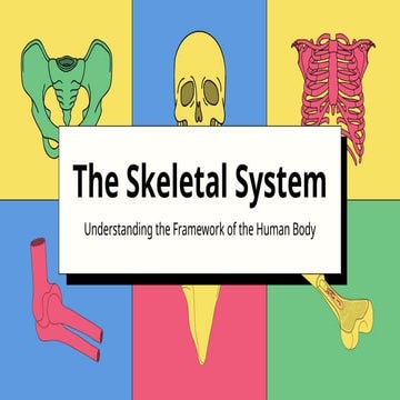 The Skeletal System Education Presentation Science 5.pptx