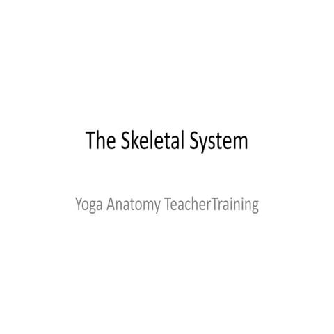 The skeletal system ytt