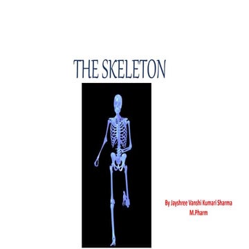 The skeletal System