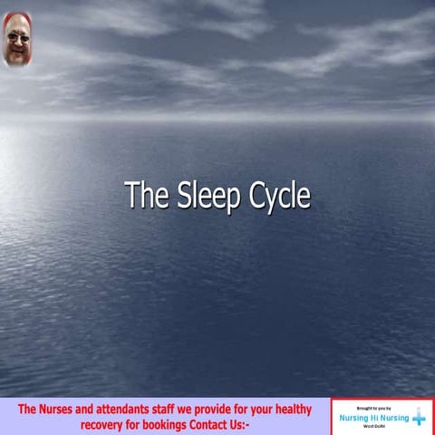 The sleep cycle