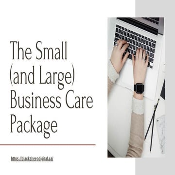 The small &amp; large business care package
