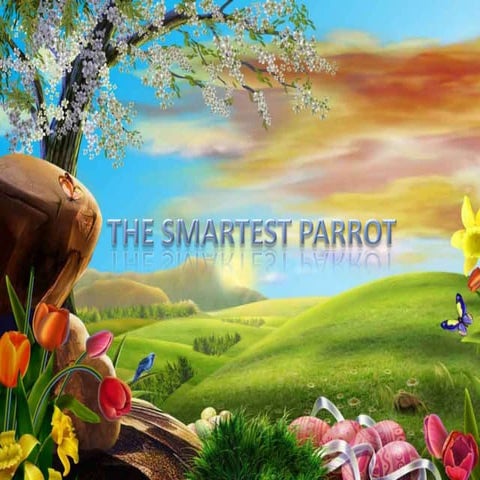 The smartest parrot by linda