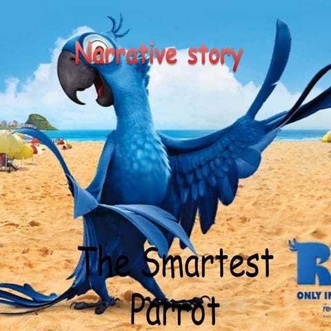 The smartest parrot by novi