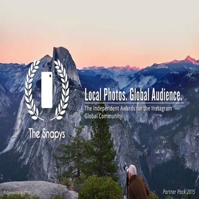 The Snapys - Overview - Connector