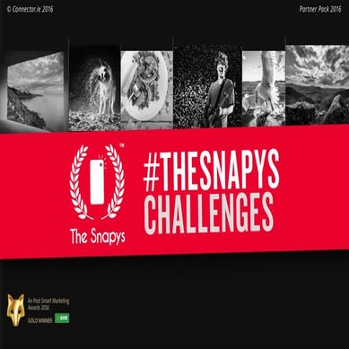 The Snapys Challenges Overview 2017 - The Snapys