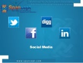 The Social Media Boom