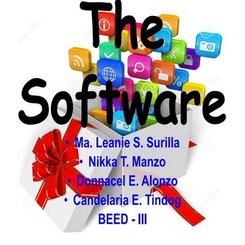 The Software
