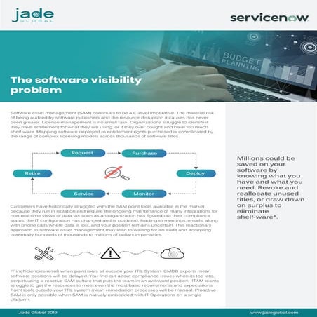 The software Visibility Problem 