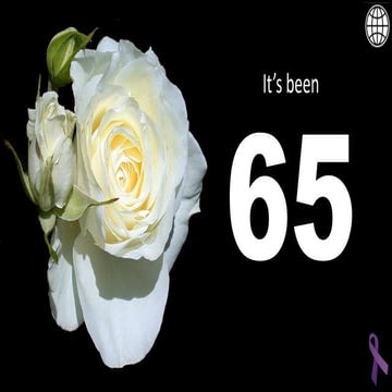 Gender Violence: The spanish side of the story