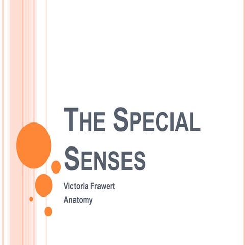 The special senses ~ powerpoint by victoria