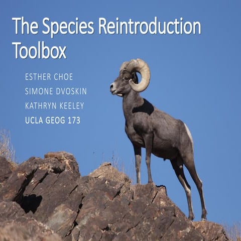 The Species Reintroduction Toolbox | PDF