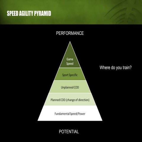 The speed agility pyramid