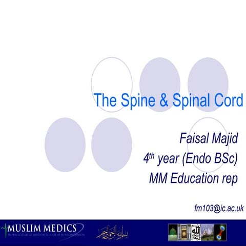 The spine & spinal cord