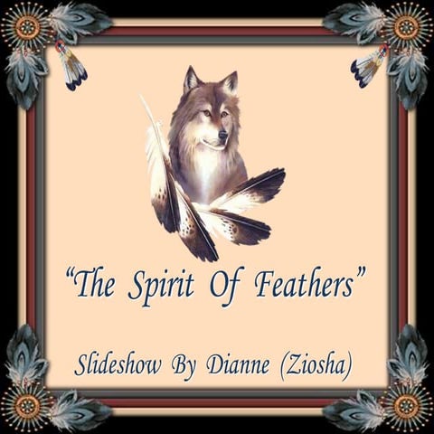 The spirit of feathers   august 2010