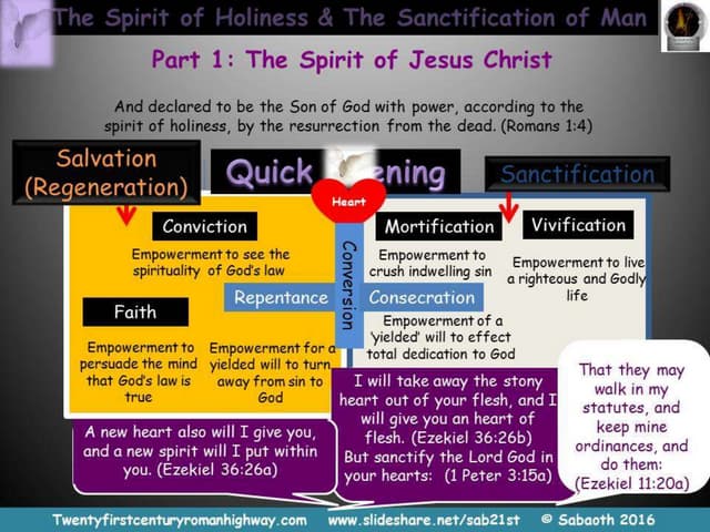 The Spirit of Holiness & The Sancti...