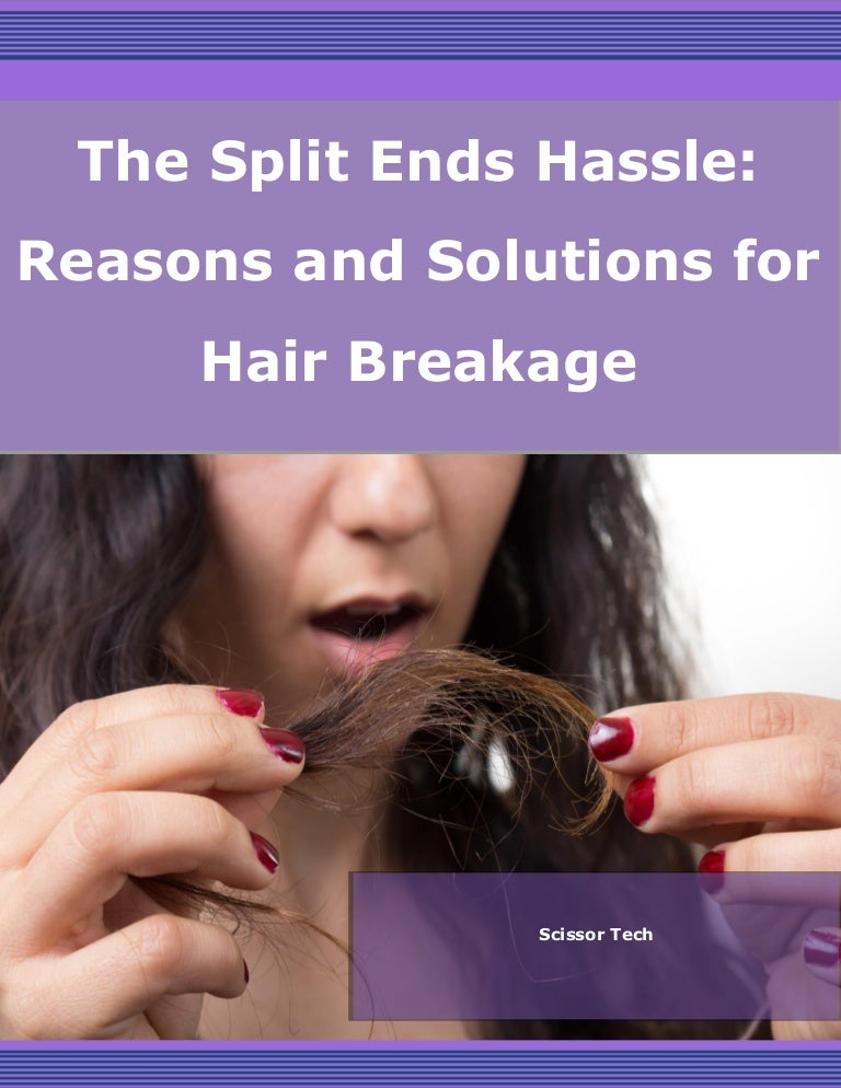 The Split Ends Hassle Reasons and Solutions for Hair Breakage