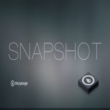 The Sponge Snapshot 14