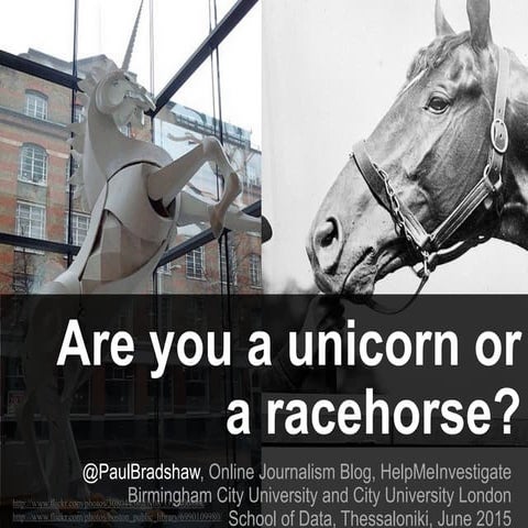 Data journalism: are you a unicorn or a racehorse?