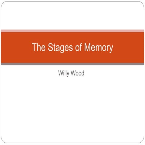 The Stages of Memory | PPTX
