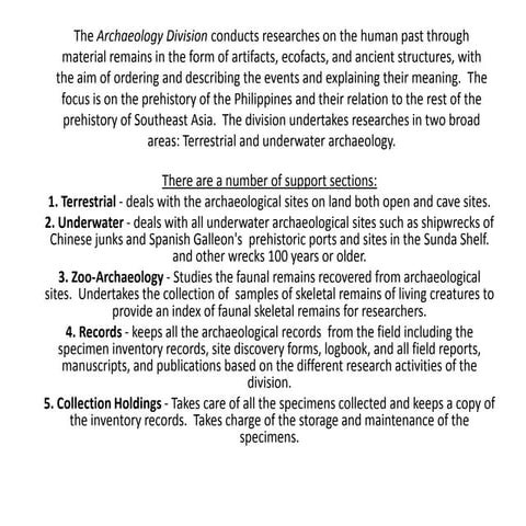 The Status of Archeology in the Philippines