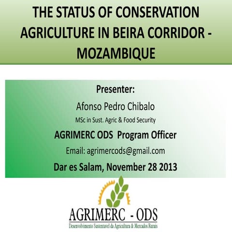 The status of conservation agriculture in beira corridor   mozambique