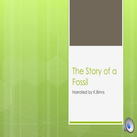 The story of a fossil