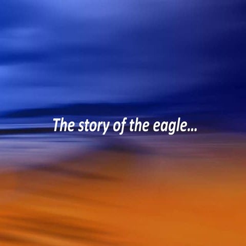 The story of eagle
