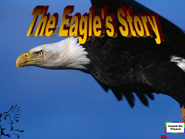 The Story of Eagle