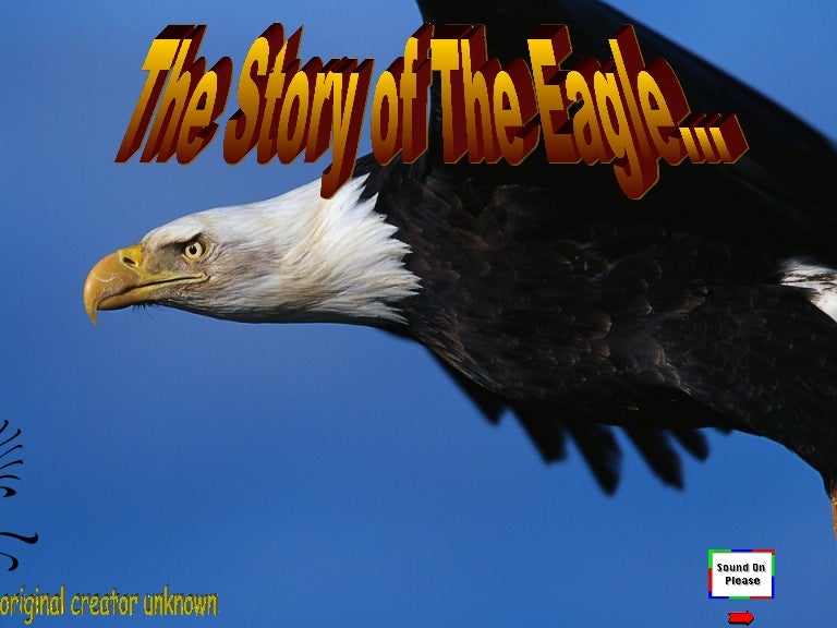 The story of the eagle