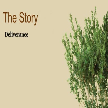 The story, part 4:  Deliverance!