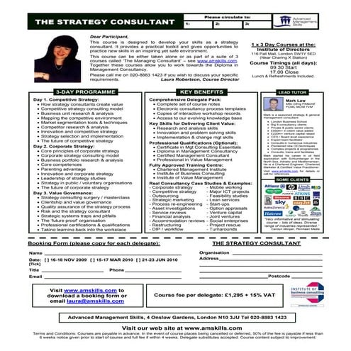 The Strategy Consultant