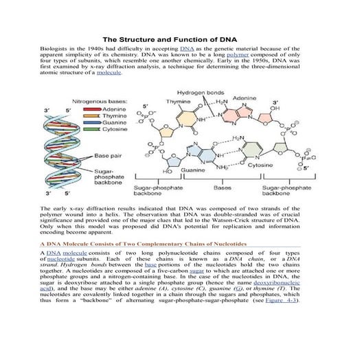 The Structure and Function of DNA: Molecular Basis of Heredity and ...