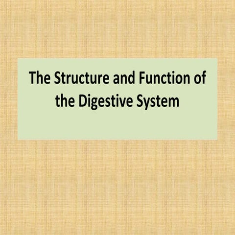 The structure and function of the digestive system